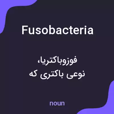 معنی fusobacteria به فارسی