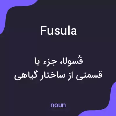 معنی fusula به فارسی معنی fusula به فارسی