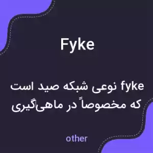 معنی fyke به فارسی معنی fyke به فارسی