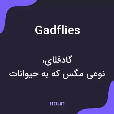 معنی gadflies به فارسی معنی gadflies به فارسی