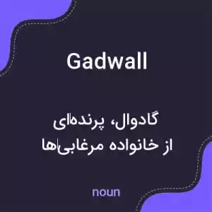 معنی gadwall به فارسی