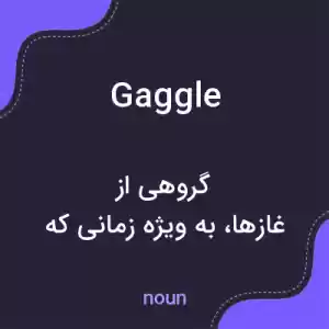 معنی gaggle به فارسی معنی gaggle به فارسی