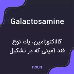 معنی galactosamine به فارسی