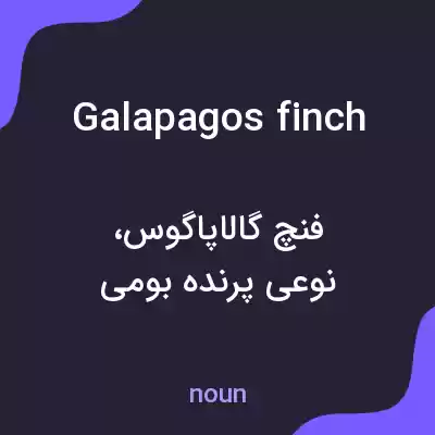 معنی galapagos finch به فارسی