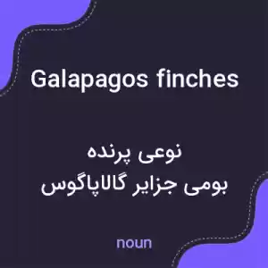 معنی galapagos finches به فارسی معنی galapagos finches به فارسی