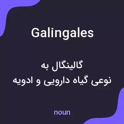 معنی galingales به فارسی معنی galingales به فارسی