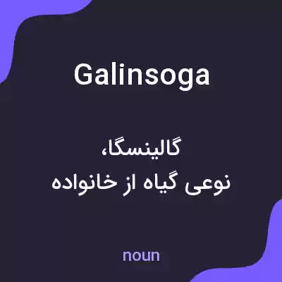 معنی galinsoga به فارسی معنی galinsoga به فارسی