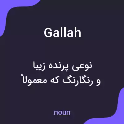 معنی gallah به فارسی معنی gallah به فارسی