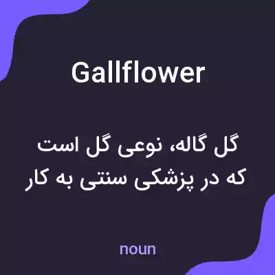معنی gallflower به فارسی معنی gallflower به فارسی