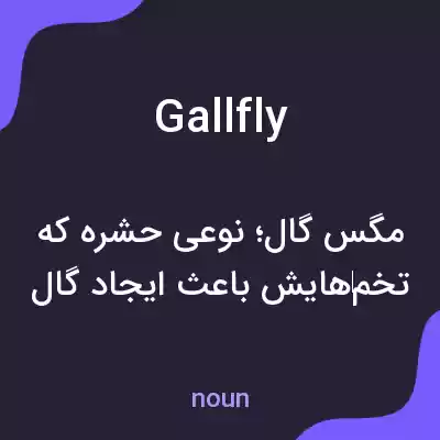 معنی gallfly به فارسی معنی gallfly به فارسی