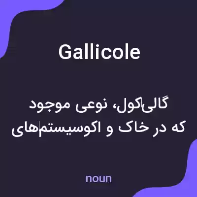 معنی gallicole به فارسی معنی gallicole به فارسی
