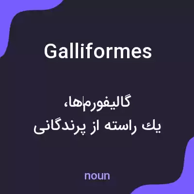 معنی galliformes به فارسی