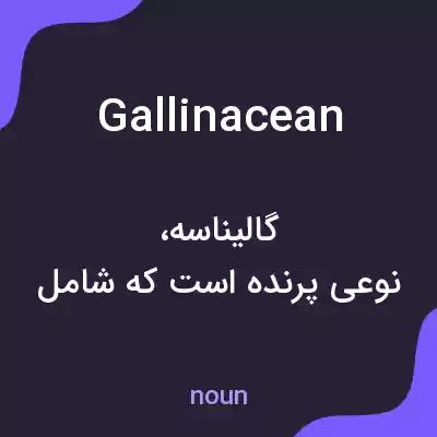 معنی gallinacean به فارسی