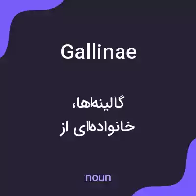 معنی gallinae به فارسی معنی gallinae به فارسی