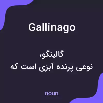 معنی gallinago به فارسی معنی gallinago به فارسی