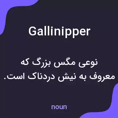 معنی gallinipper به فارسی معنی gallinipper به فارسی