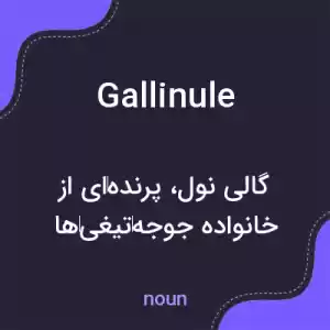 معنی gallinule به فارسی معنی gallinule به فارسی