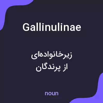معنی gallinulinae به فارسی معنی gallinulinae به فارسی
