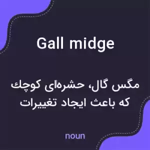 معنی gall midge به فارسی معنی gall midge به فارسی
