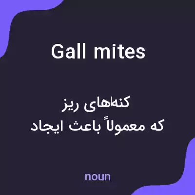 معنی gall mites به فارسی