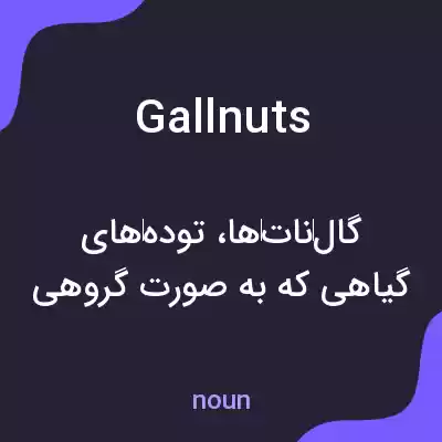 معنی gallnuts به فارسی