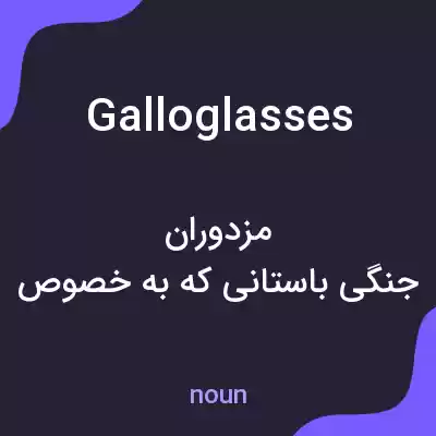 معنی galloglasses به فارسی معنی galloglasses به فارسی