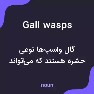 معنی gall wasps به فارسی معنی gall wasps به فارسی