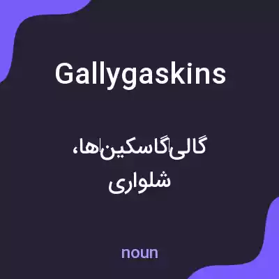 معنی gallygaskins به فارسی معنی gallygaskins به فارسی