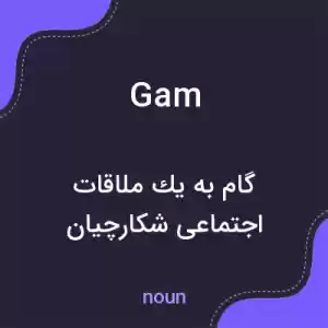 معنی gam به فارسی معنی gam به فارسی