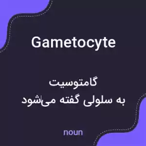 معنی gametocyte به فارسی معنی gametocyte به فارسی
