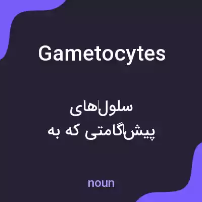 معنی gametocytes به فارسی معنی gametocytes به فارسی
