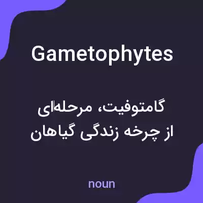 معنی gametophytes به فارسی معنی gametophytes به فارسی
