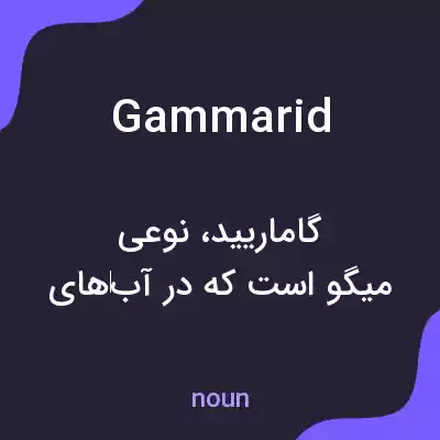 معنی gammarid به فارسی معنی gammarid به فارسی