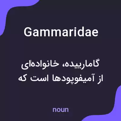 معنی gammaridae به فارسی معنی gammaridae به فارسی