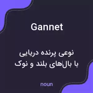 معنی gannet به فارسی معنی gannet به فارسی