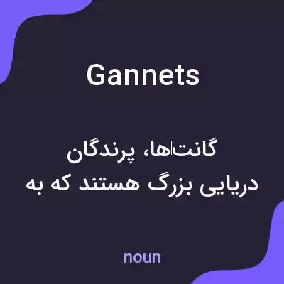 معنی gannets به فارسی معنی gannets به فارسی