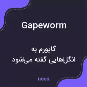 معنی gapeworm به فارسی