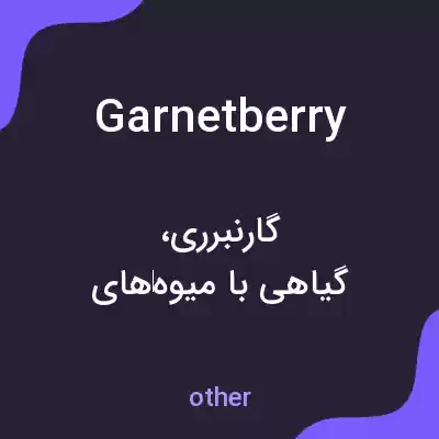 معنی garnetberry به فارسی معنی garnetberry به فارسی