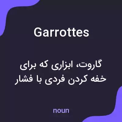 معنی garrottes به فارسی معنی garrottes به فارسی