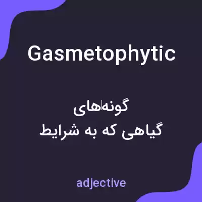معنی gasmetophytic به فارسی معنی gasmetophytic به فارسی