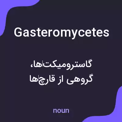 معنی gasteromycetes به فارسی معنی gasteromycetes به فارسی