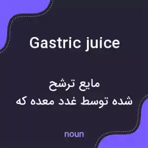 معنی gastric juice به فارسی
