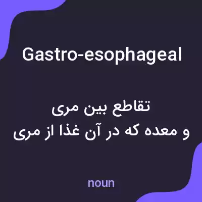 معنی gastro-esophageal به فارسی معنی gastro-esophageal به فارسی