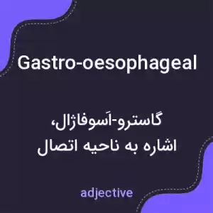 معنی gastro-oesophageal به فارسی