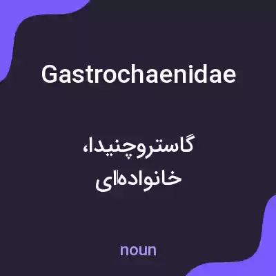 معنی gastrochaenidae به فارسی