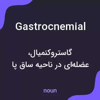 معنی gastrocnemial به فارسی معنی gastrocnemial به فارسی