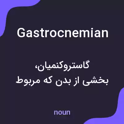 معنی gastrocnemian به فارسی معنی gastrocnemian به فارسی