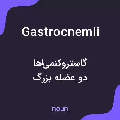 معنی gastrocnemii به فارسی معنی gastrocnemii به فارسی