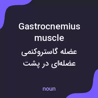 معنی gastrocnemius muscle به فارسی معنی gastrocnemius muscle به فارسی