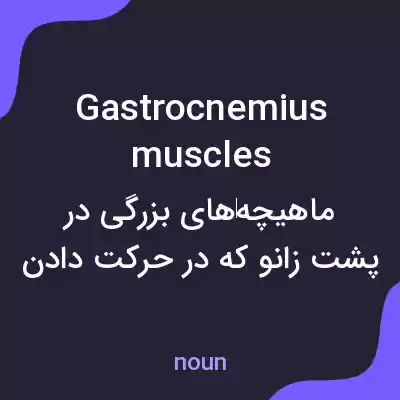 معنی gastrocnemius muscles به فارسی معنی gastrocnemius muscles به فارسی